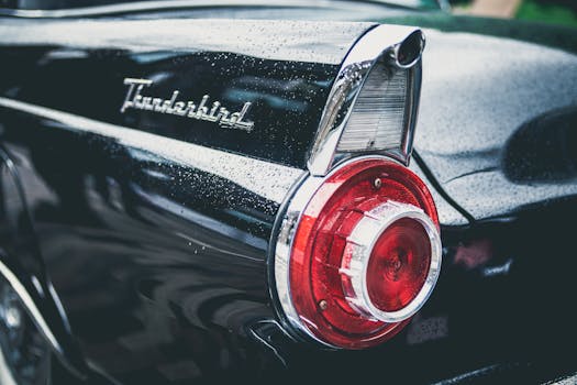 classic Ford cars lined up for a meet